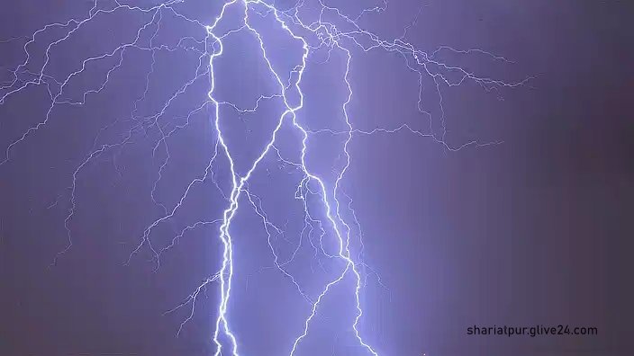 চাষি বাজারে দৈনিক আড়াই কোটি টাকার রসুন বিক্রি | সারা সপ্তাহের খবর