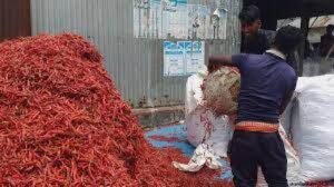 সপ্তাহে ১০ কোটি টাকার মরিচ বিক্রি হয় মোল্লার হাটে